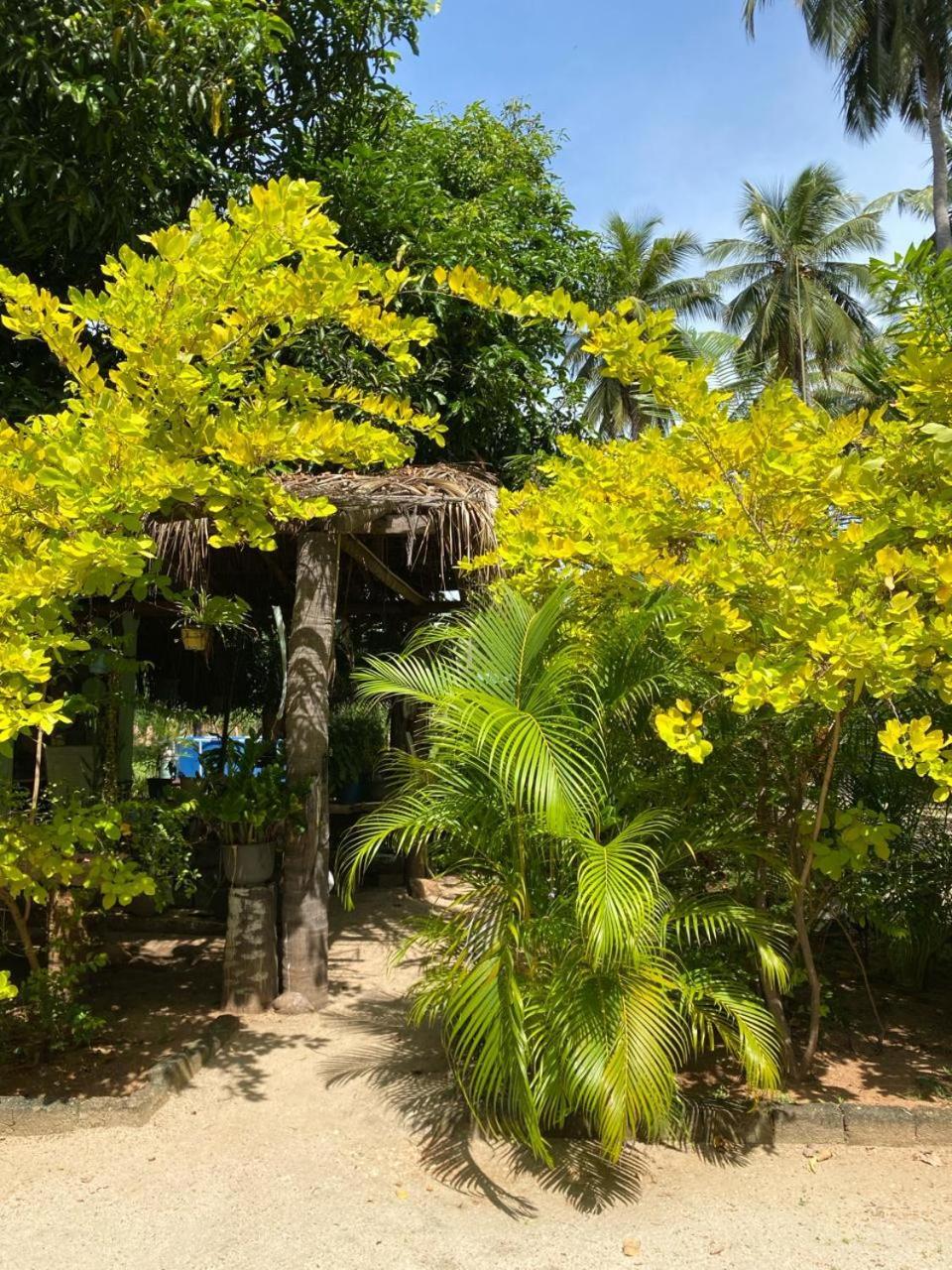 Elena Garden Resort And Restaurant Trincomalee Exterior photo